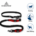 Hands-Free Dog Running Leash - Bungee Style