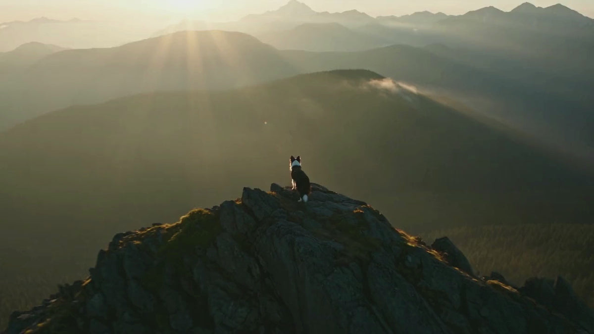KIBOPAW brand film — outdoor adventures with your dog