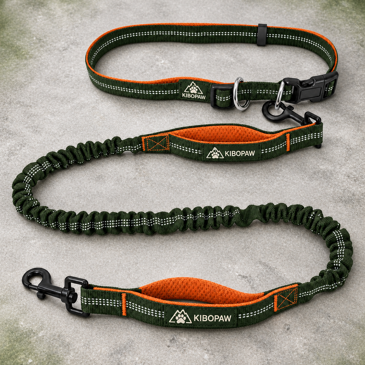 Forest-green and orange KIBOPAW waist belt and bungee leash with exactly two padded handles